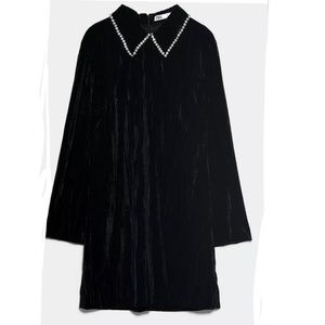 Zara Black Velvet Mini Dress w/Jeweled Collar